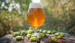 IPA