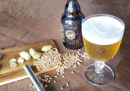 Cerveza de Trigo